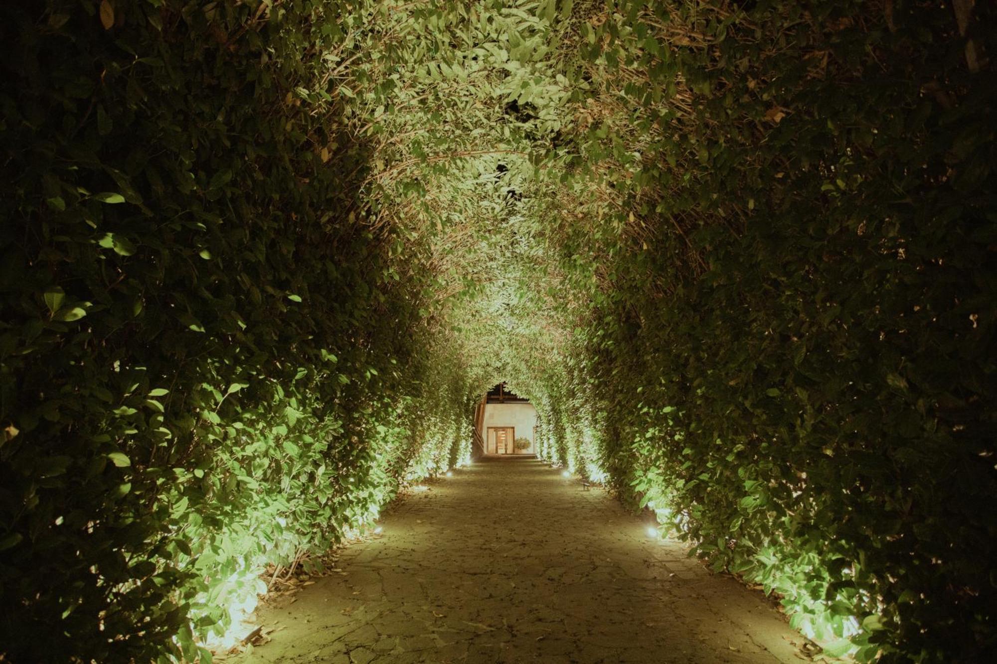 Sotto Il Cielo Hotel Pignola Zewnętrze zdjęcie