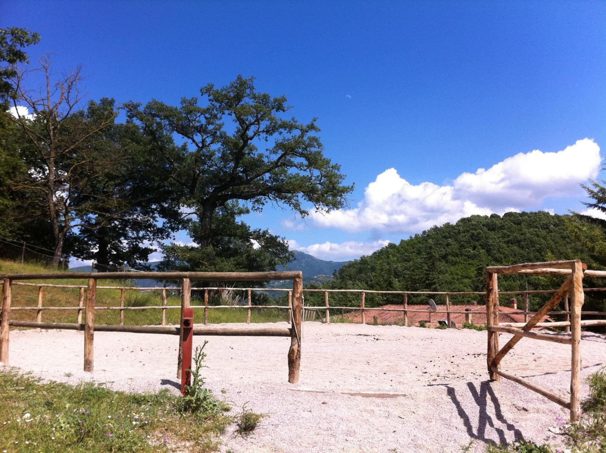 Sotto Il Cielo Hotel Pignola Zewnętrze zdjęcie